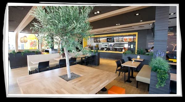 PANS & COMPANY ABRERA